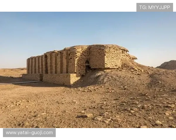 波士顿现场直播：探索历史与文化的城市脉搏